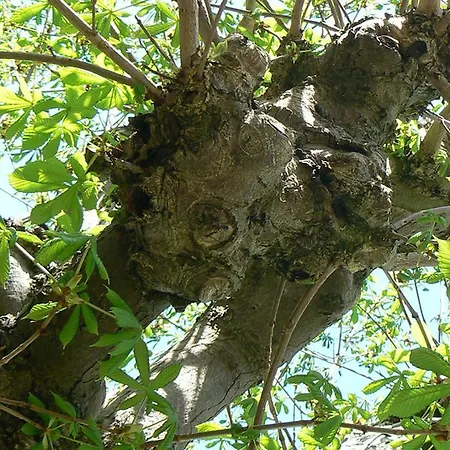 Atelier-appartement Ambienta Im Zentrum Von *